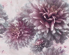 Decor Floral Lila
