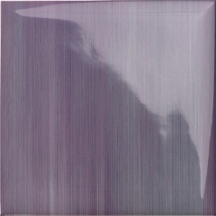 Lucciola Viola