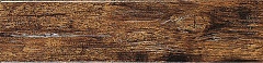 Borneo Maple