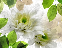 Decor Evoque Blanco