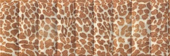 Decor Wild B27