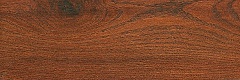 Aracena Kauri Aracena Kauri