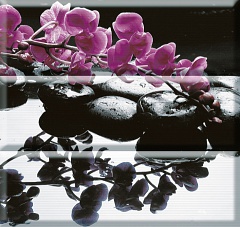 Composicion Wellness Purple