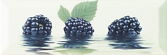 Decor Mora
