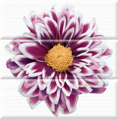 Composicion Flower