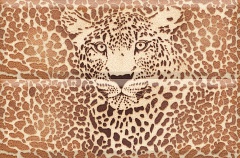 Composicion Wild 02