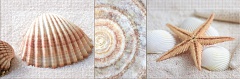 Decor Costa Blanca 01